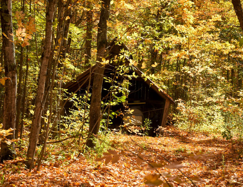fall-28a-standard.jpg