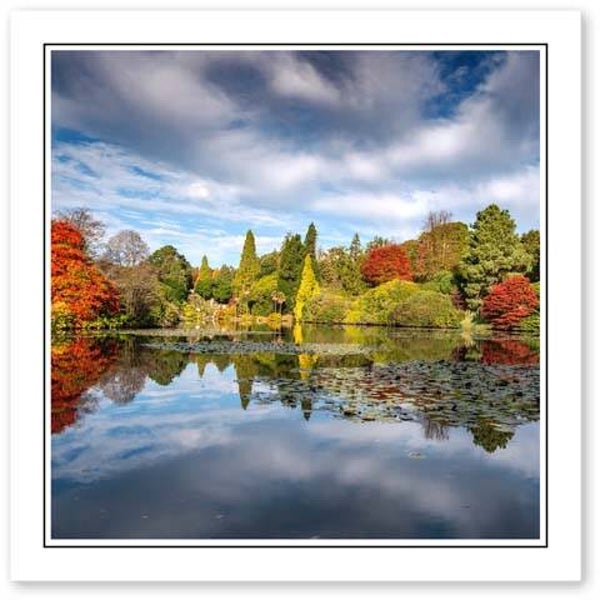 ref. 211 Greetings Card