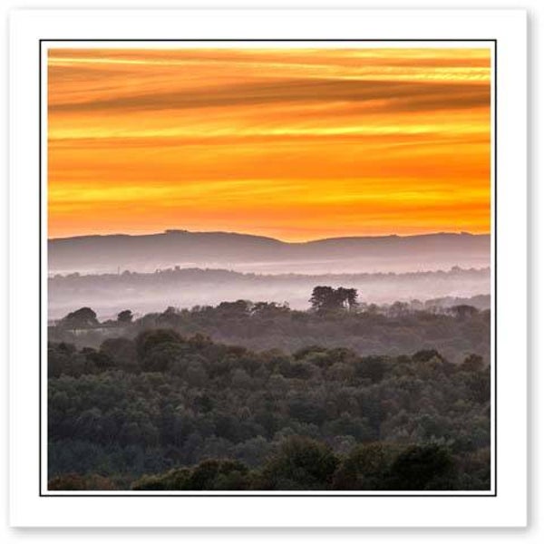 ref.460 Greetings Card