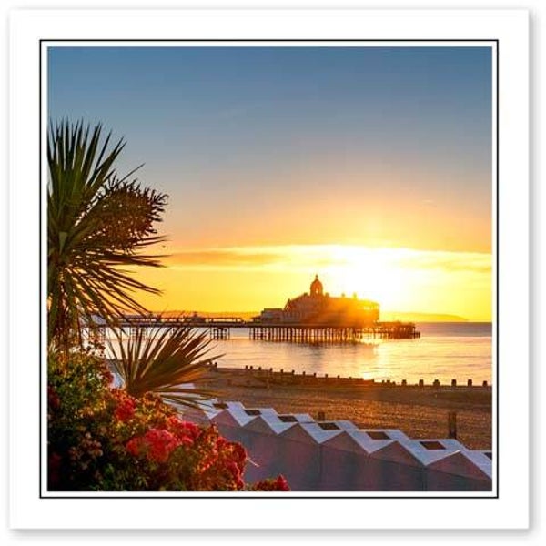 ref.542 Greetings Card