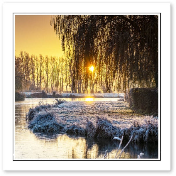 Ref.594 Greetings Card