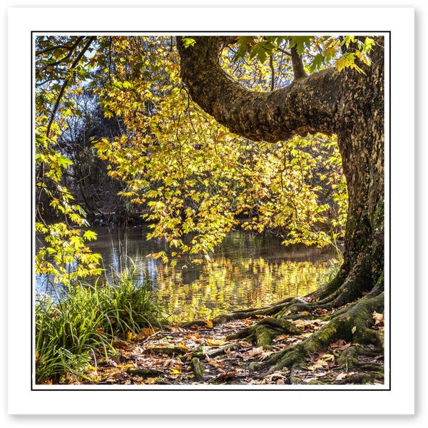 Ref.602 Greetings Card