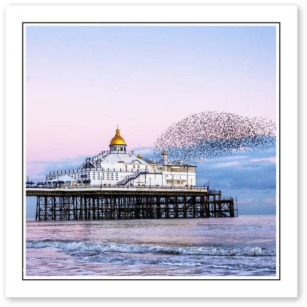 Ref.605 Greetings Card