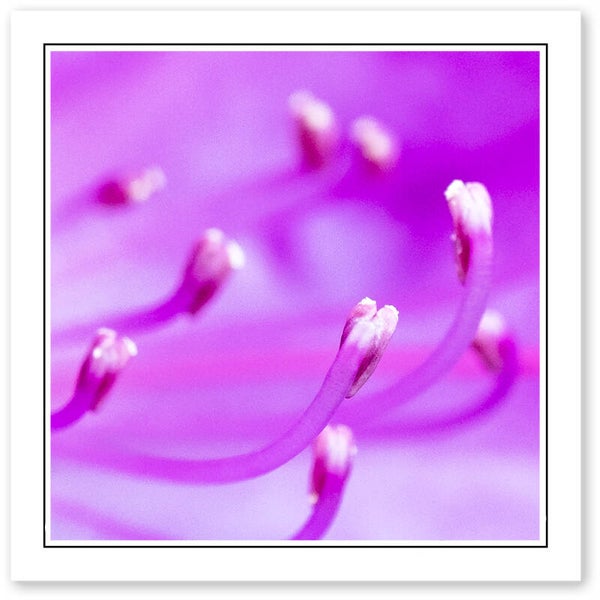 Ref.613 Greetings Card