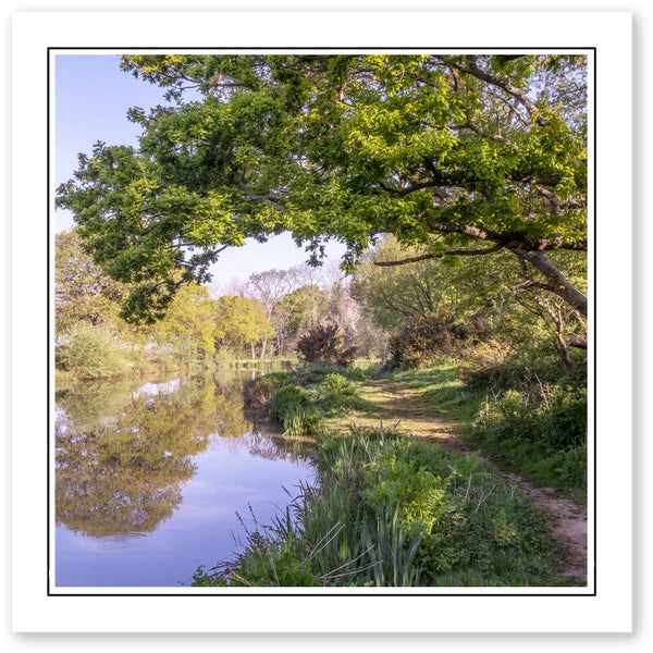 Ref.621 Greetings Card