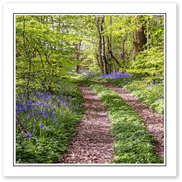 Ref.624 Greetings Card