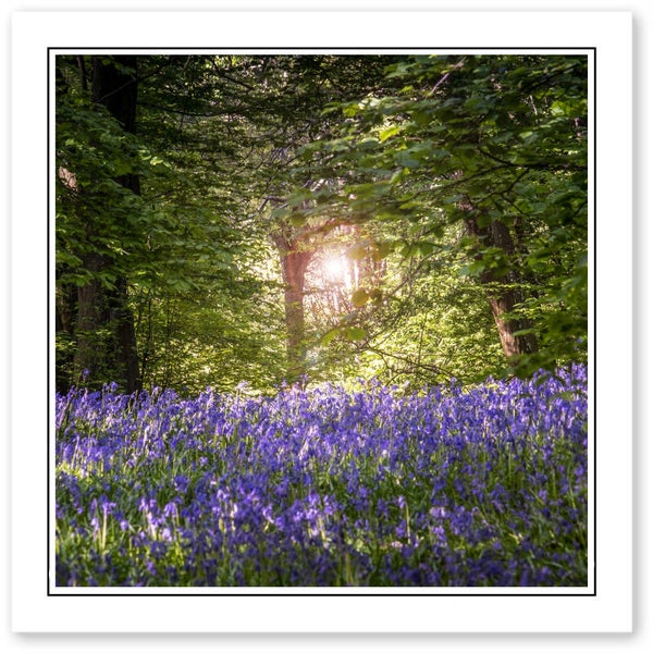 Ref.625 Greetings Card