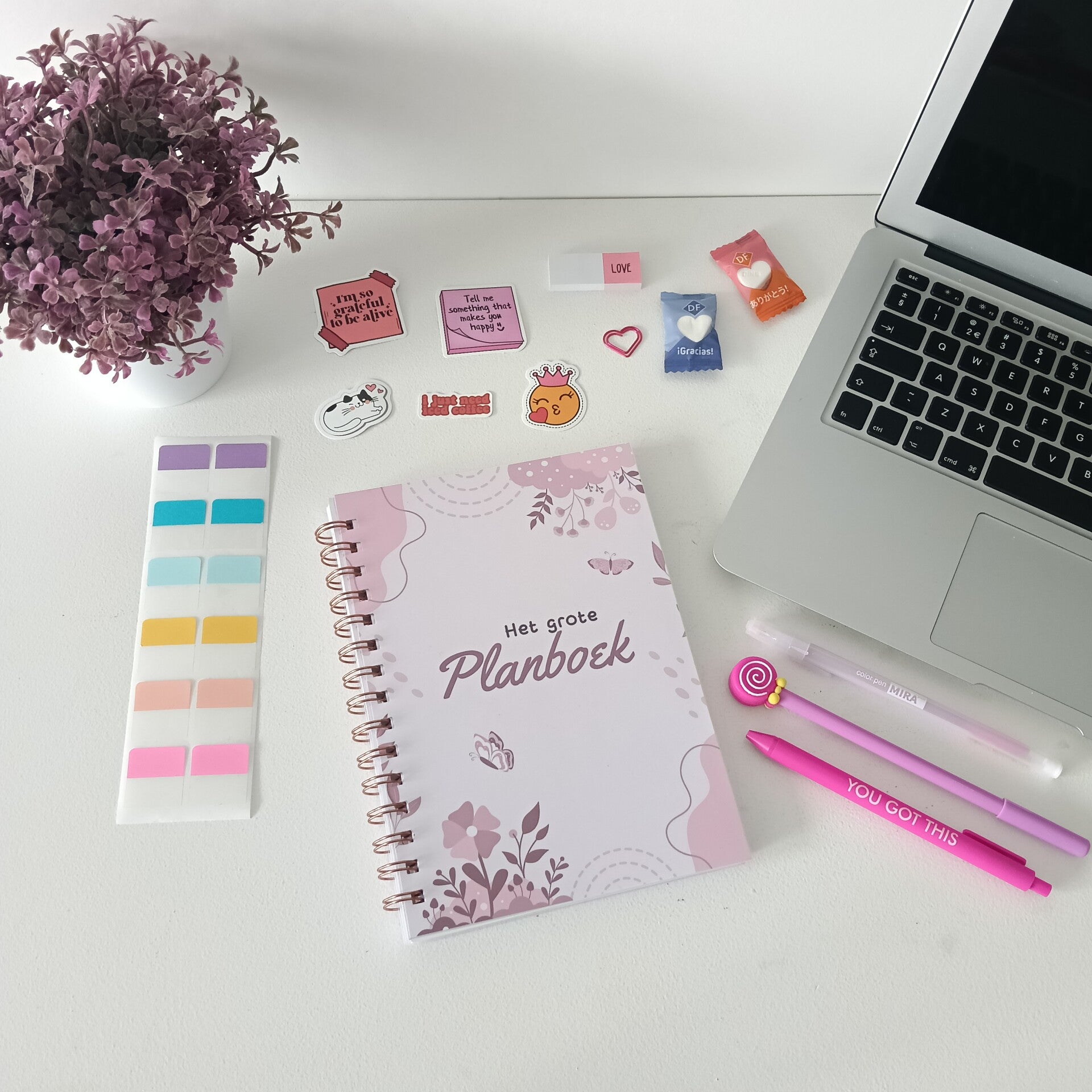Planner Pro Budget