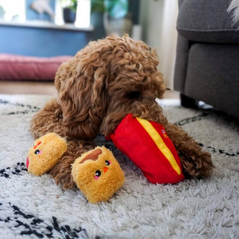 Hersenwerk voor honden