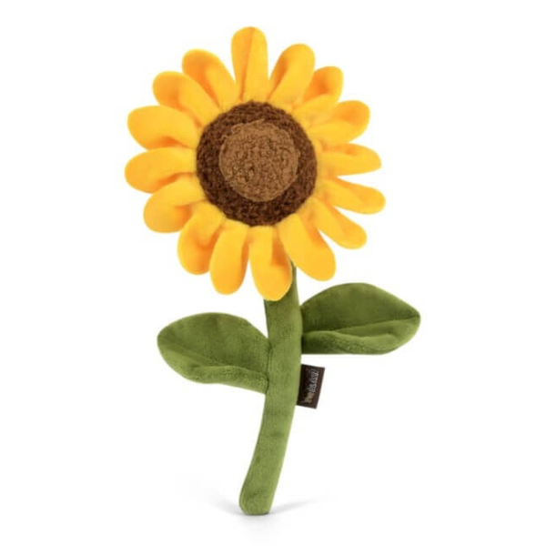 Sassy Sunflower