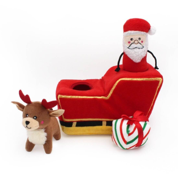 Kerst slee
