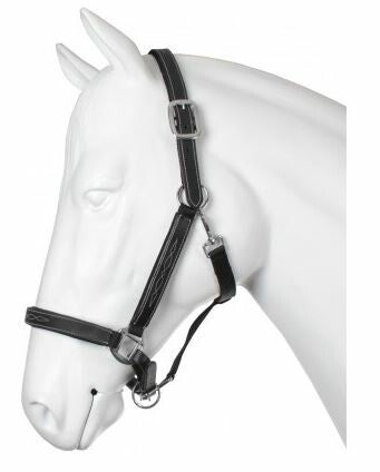 HALSTER LEER/NYLON LENNY