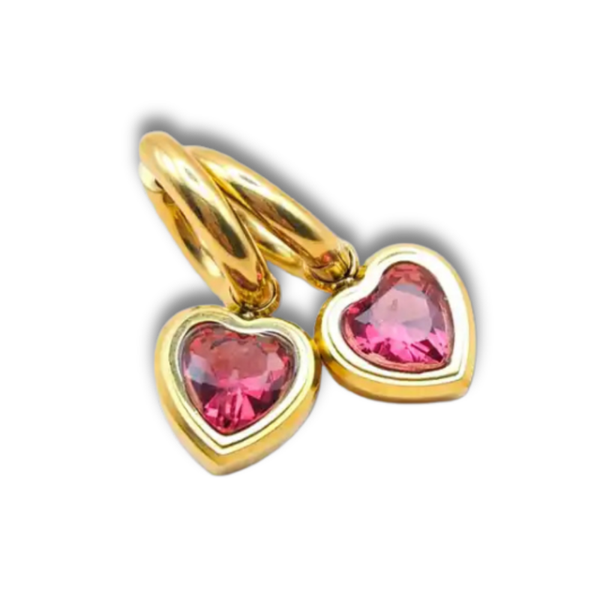 Oorbellen Bedeltjes | Kersenrood