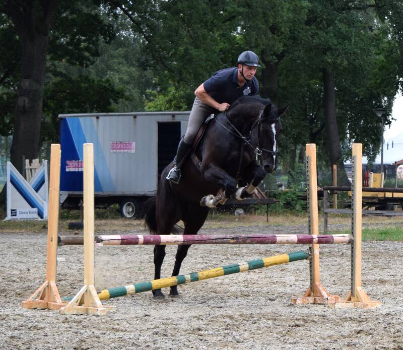 Kitta van het Panishof fokmerrie met een top merrielijn / top breeding mare / Bufero van het Panishof