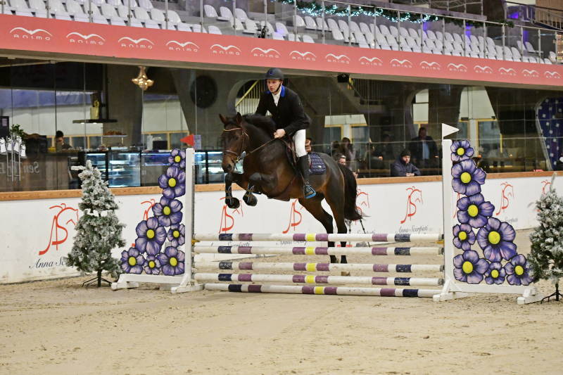 quality gold foutloos in sentowerBWP / approved stallion/ Solid Gold