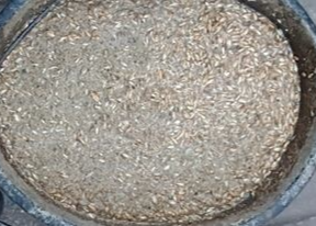 Seniores Priores minstens 4 uur weken