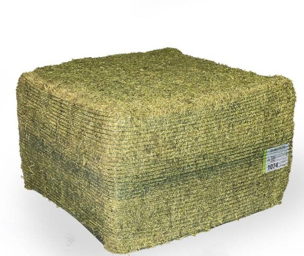 Luzerne in grote baal van ca. 400 kg