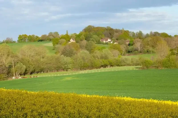 Scenic Countryside Near Godalming – Discover Hidden Gems & Scenic Walks with Prime Taxis Godalming