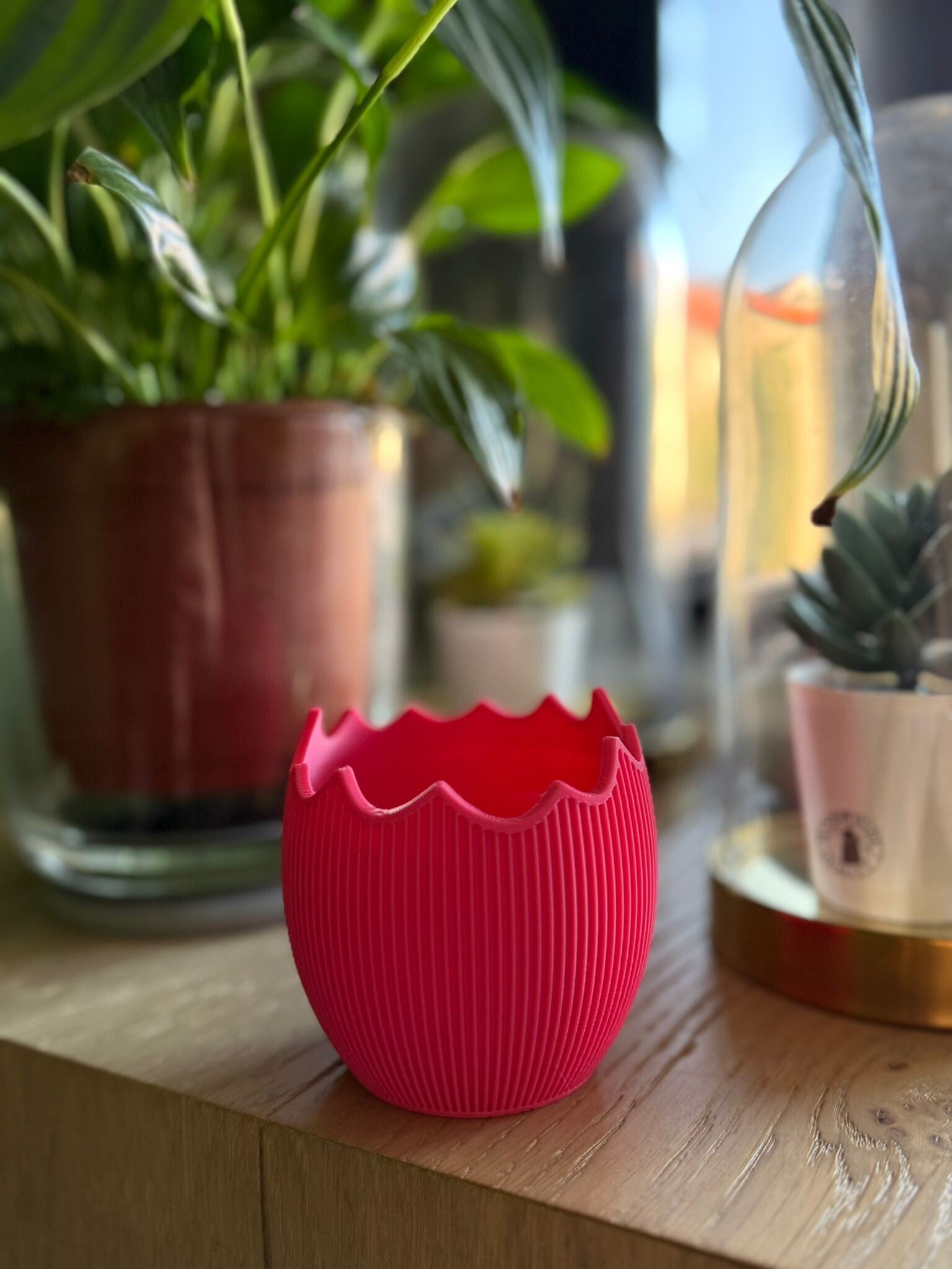 Bakjes in de vorm van een ei. In 3 maten leverbaar