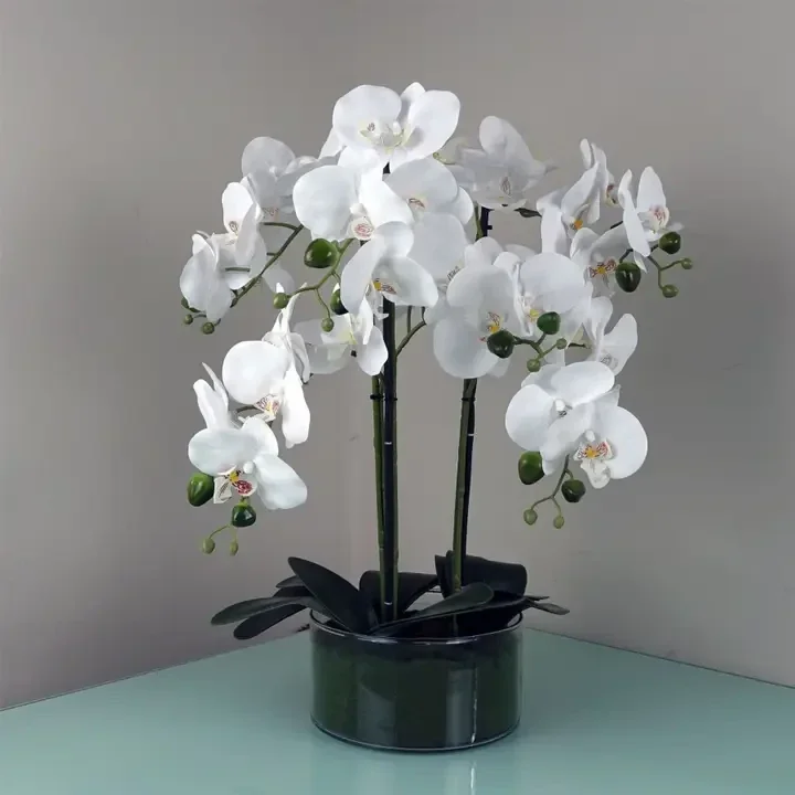 50cm Artificial Orchid with Glass Planter – White