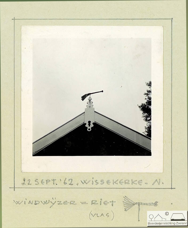 windwijzer-van-riet-standard.jpg