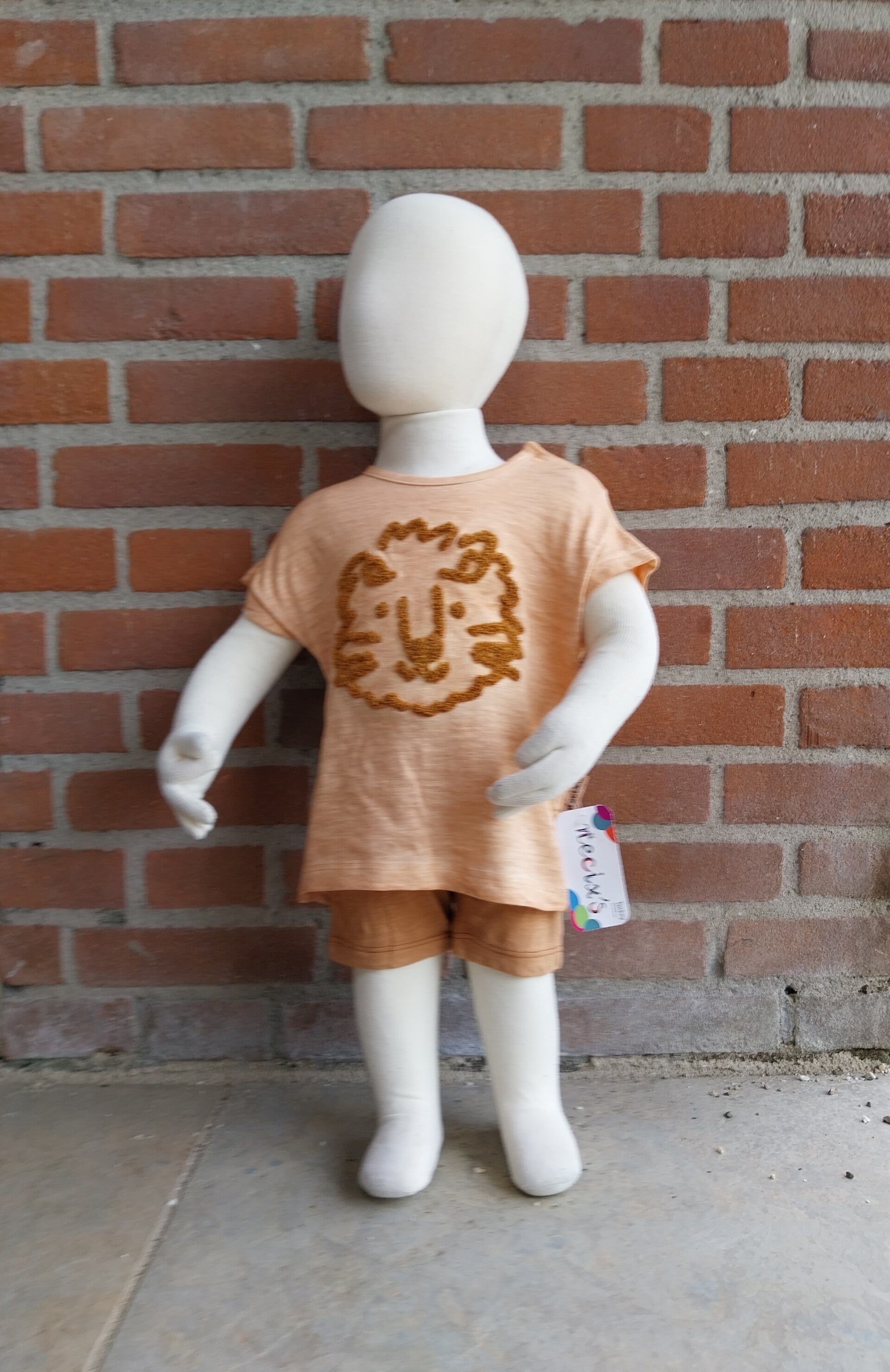 2 Delige zomerset Necix´s leeuw oranje