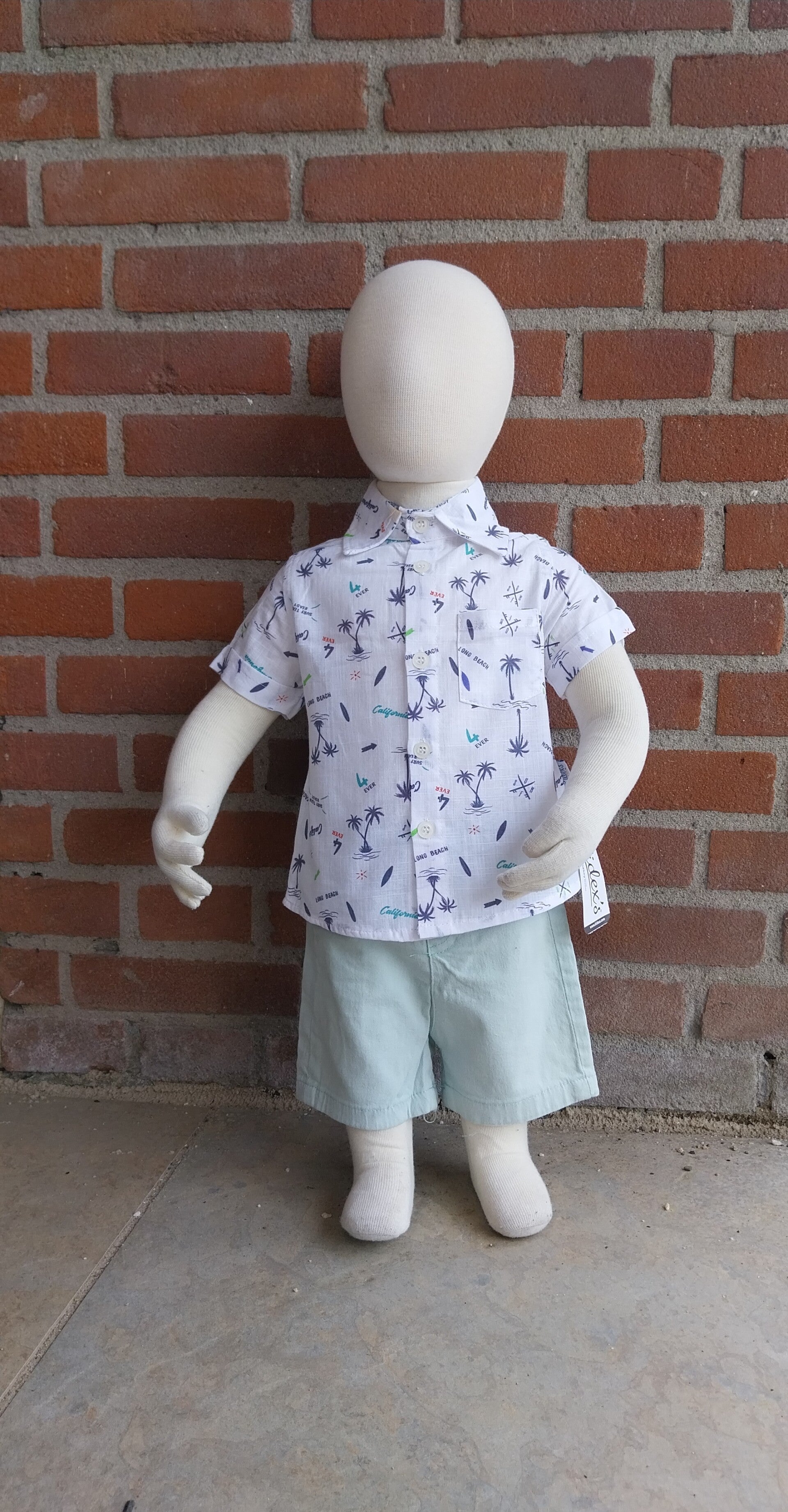 2 Delige zomerset Kidex´s palmbomen