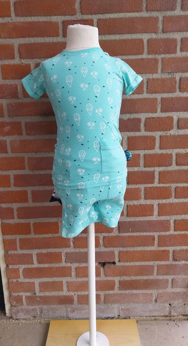 2 Delige zomerset  4President ijsjes