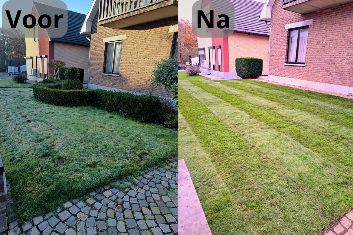 buxus-verwijderen-standard.png