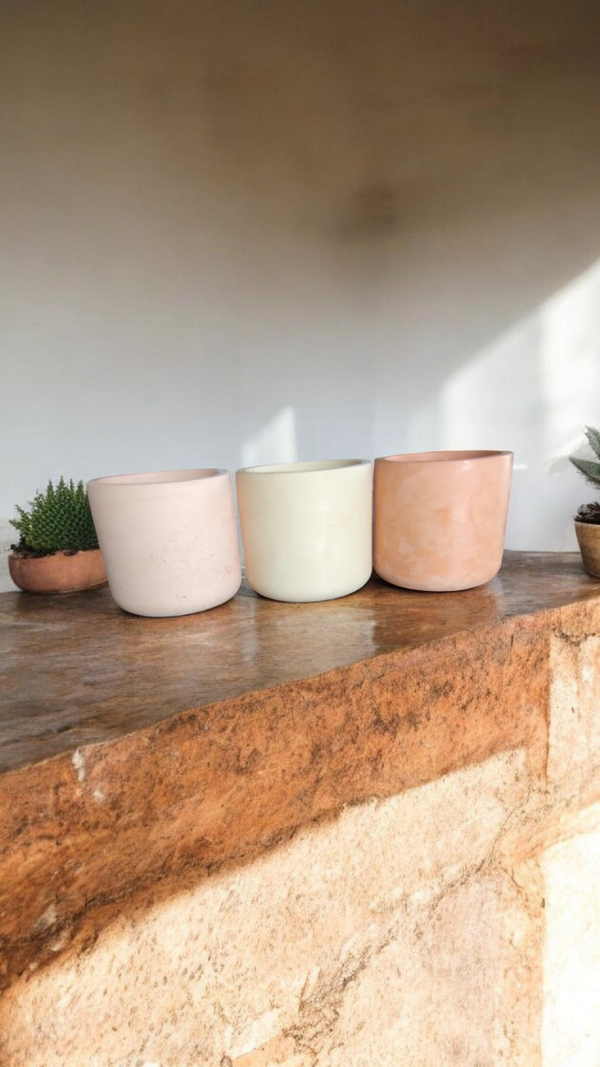 👑 Bougie Paloma 👑