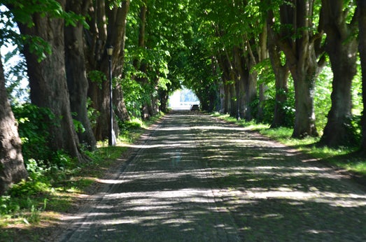 Usedom, Zinnovitz