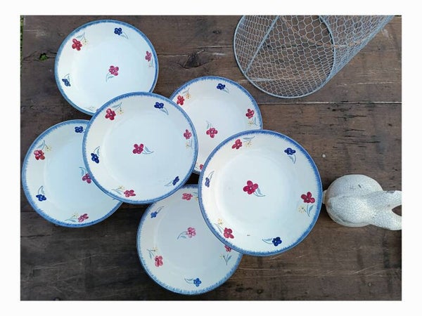 Six assiettes creuses , Mary Lou , Digoin et Sarreguemines en faïence fleurie