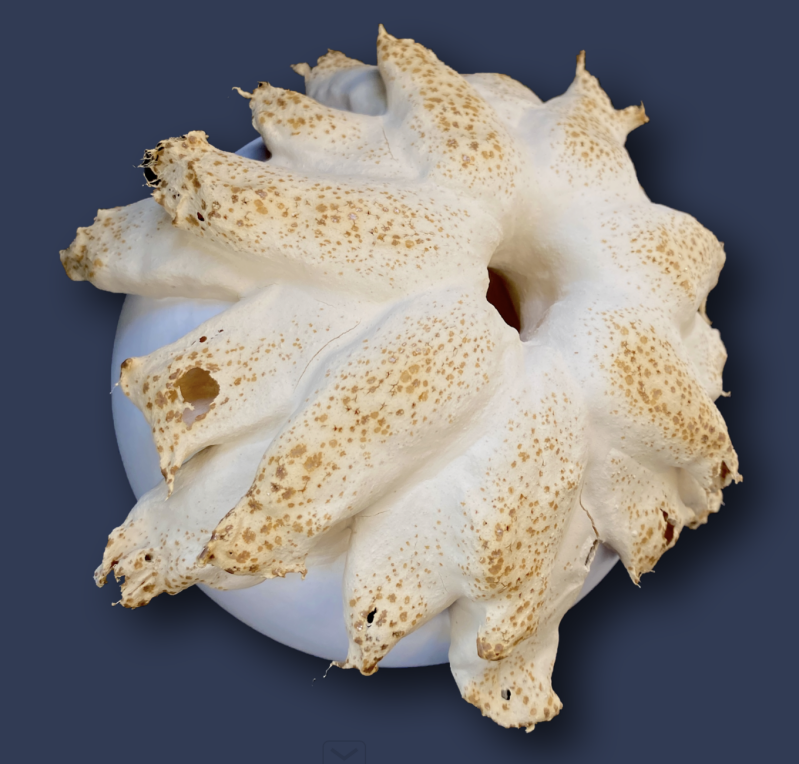 anthomaren-11-standard-dkneb5.png