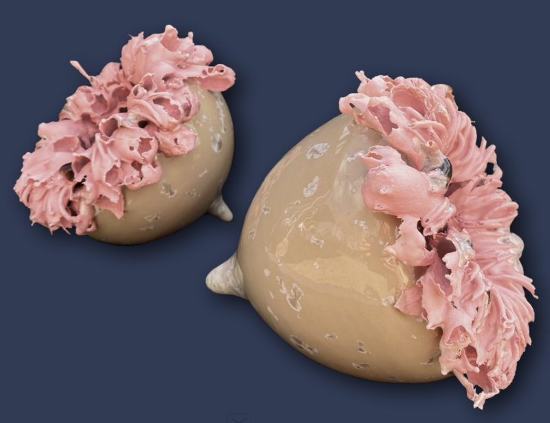 anthomaren-12-standard-lhar6i.png