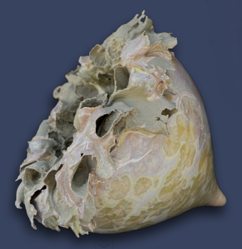 anthomaren-16-standard-3q7vk5.png