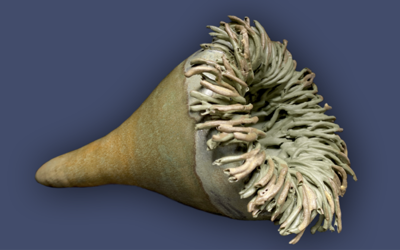 anthomaren-21-standard-vej8mv.png