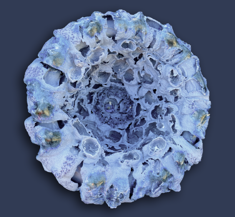 anthomaren-4-standard-5ryr5a.png