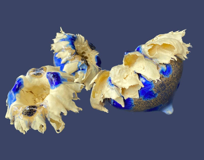 anthomaren9-standard.jpg