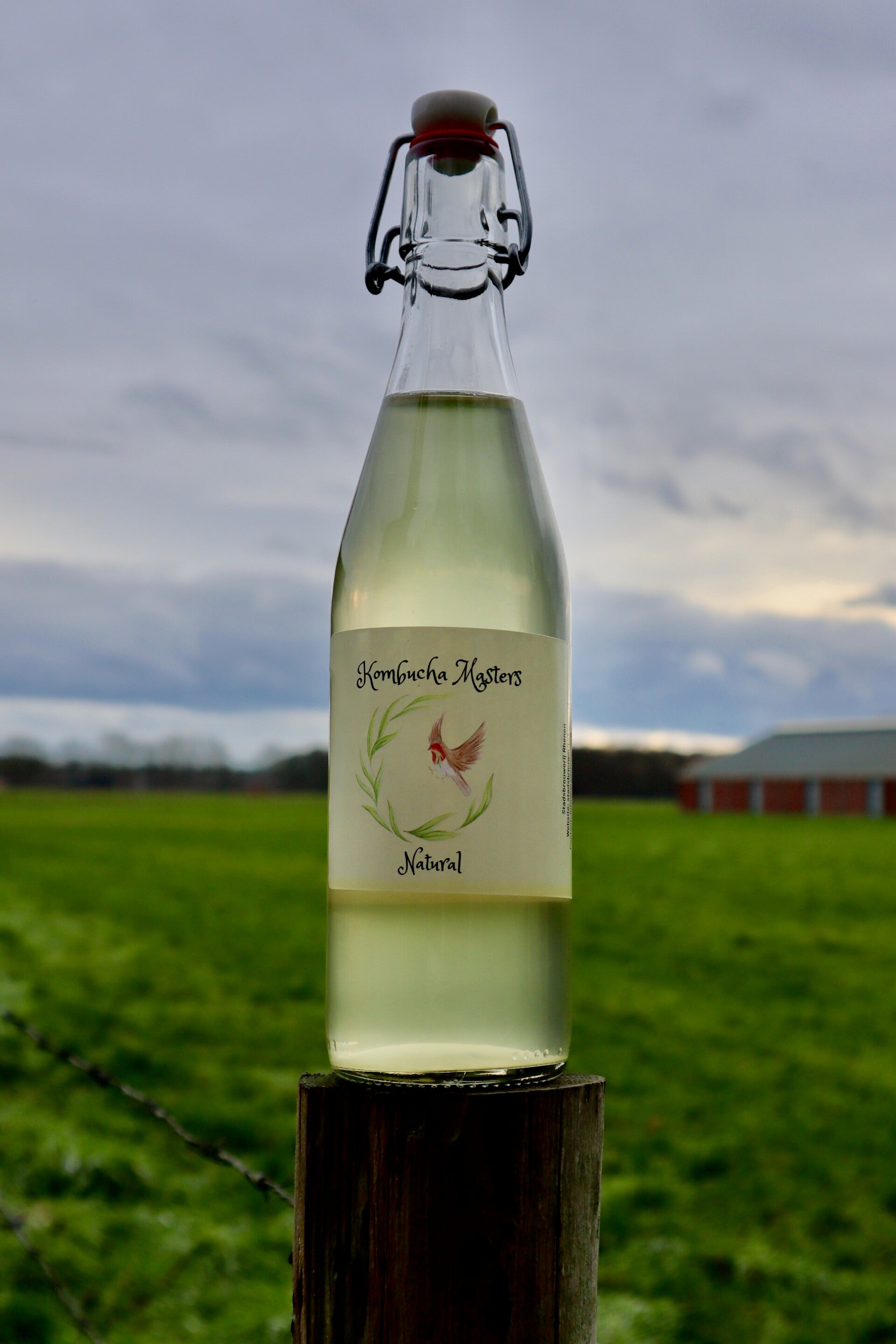 Naturel Kombucha (0.5 liter)