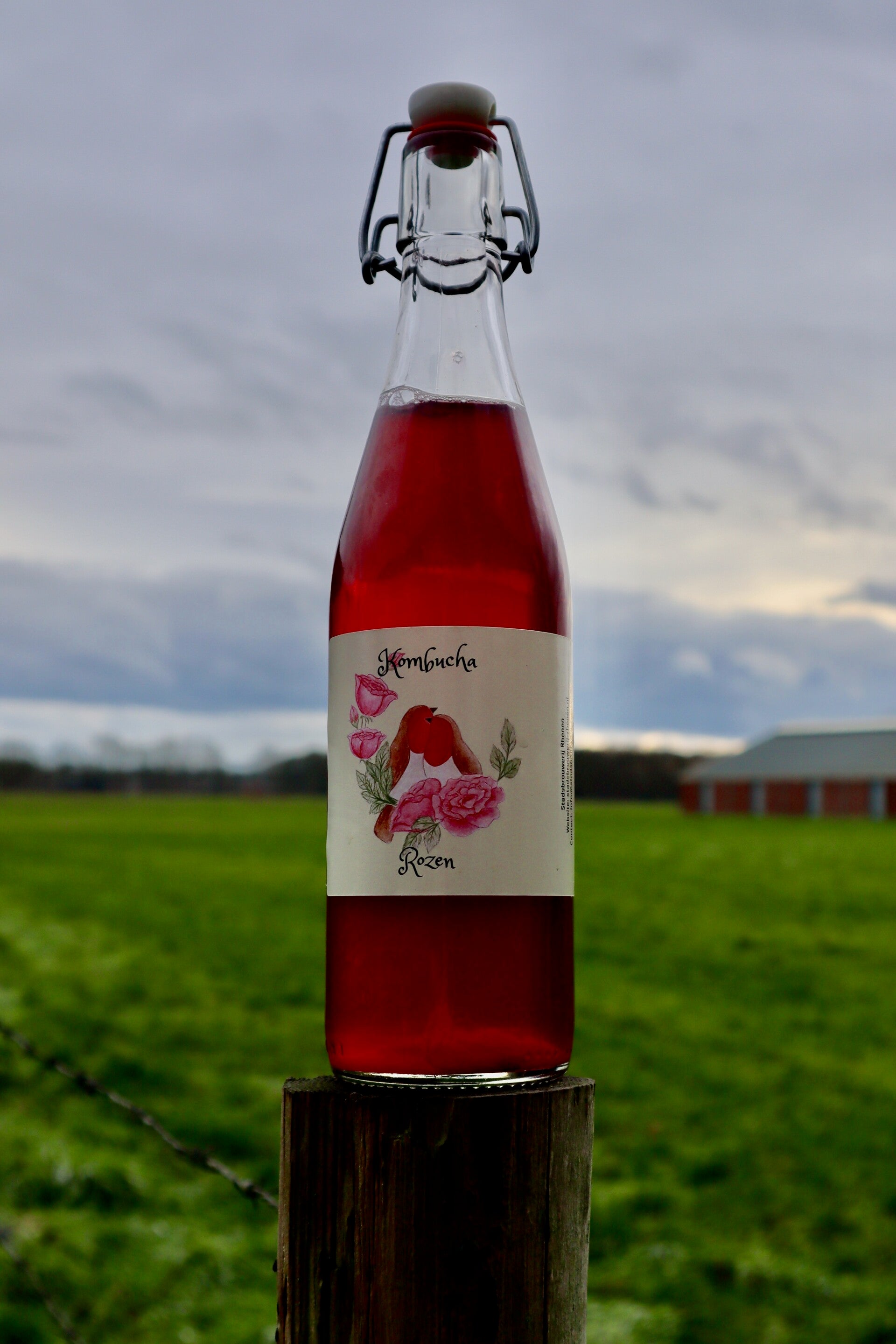 Rozen Kombucha (0.5 liter)