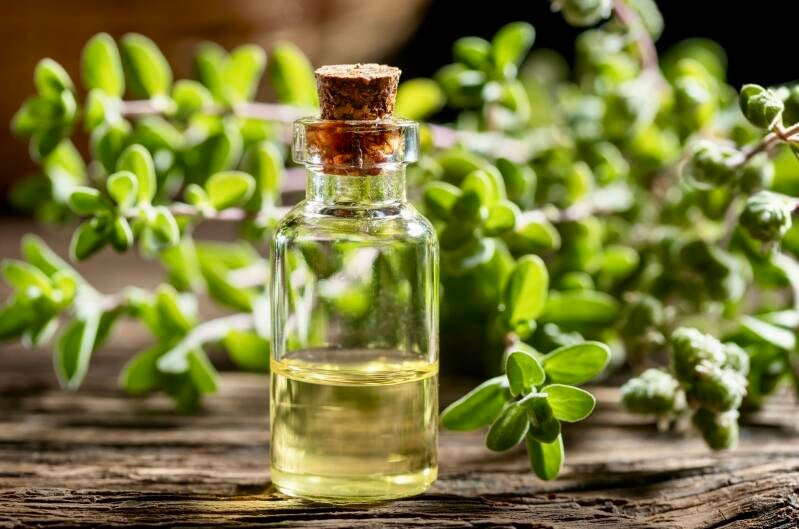 Huile essentielle de marjolaine – propriétés relaxantes et équilibrantes pour le sommeil.