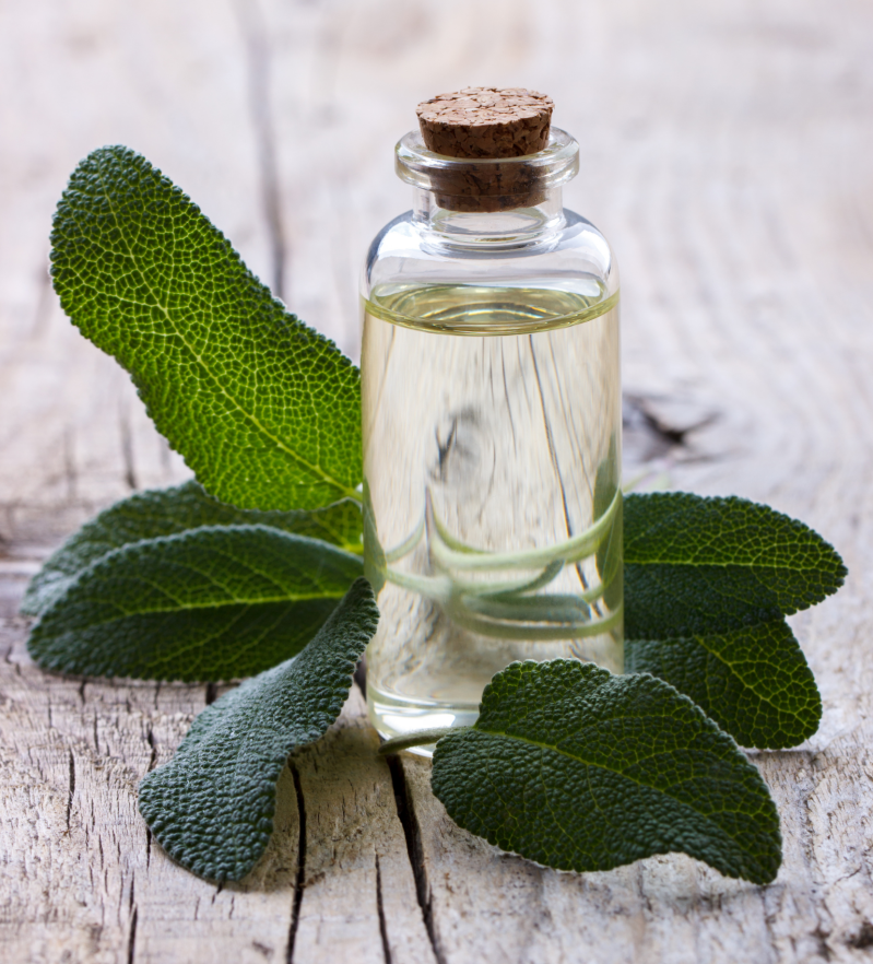 huiles essentielles de sauge