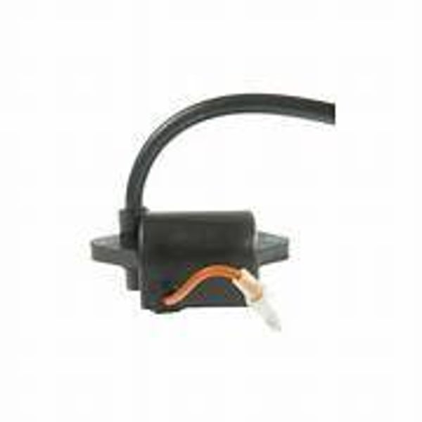 Module d'allumage pour tronçonneuse Shindaiwa A411001020