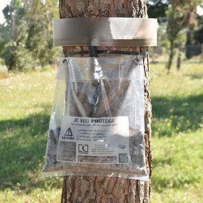 Kit Écopiège pour éradiquer les chenilles processionnaires - Transparent Ø 66 - 100% écologique !