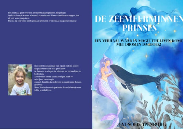 Prentenboek: De zeemeerminnenprinses
