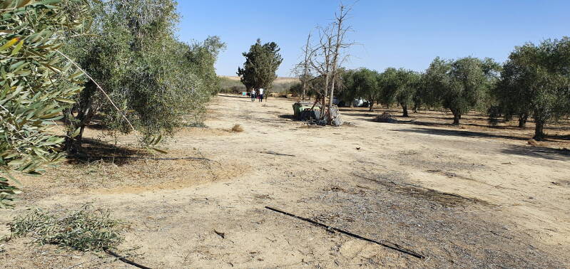 We werden tussendoor regelmatig geroepen om iets te eten, te drinken, te praten en drinken. Want drinken moest je wel blijven doen in deze temperaturen.