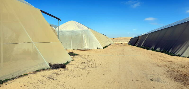  In een van deze greenhouses begon de arbeid