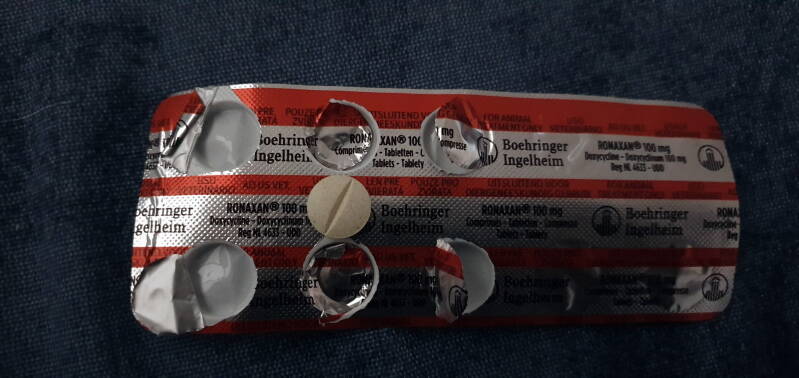  Er was ook een arts op het terrein, en hij bediende mij met antibiotica. Na mij werden er nog veel meer ziek Ha &#039;Shem voorzag in deze zorg! 