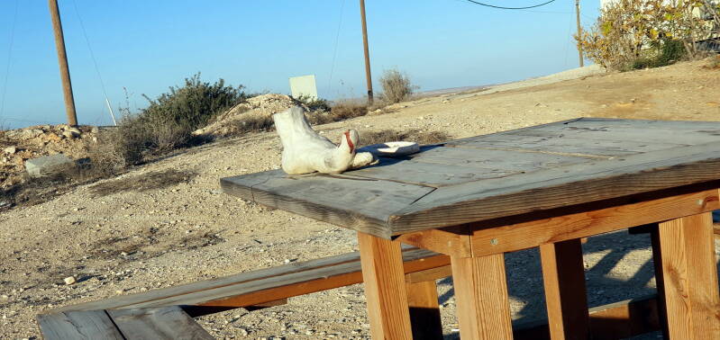  Artistieke bezigheden zijn hier ook aanwezig