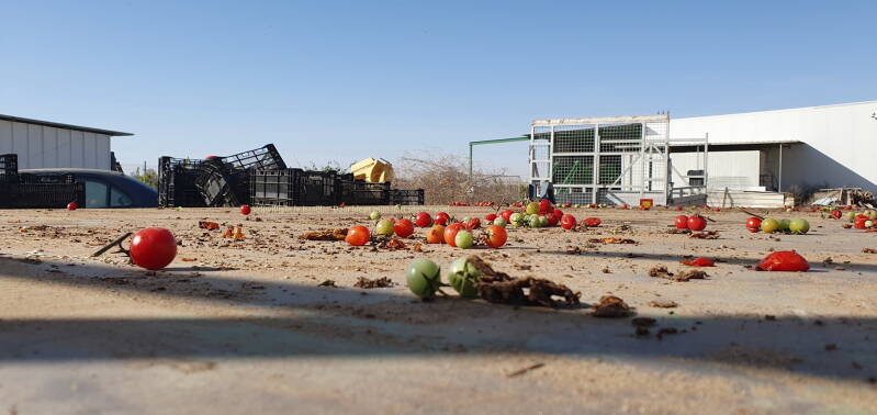 Zo te zien en volgens mij komen we in de tomaten